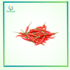 Ớt hiểm gói 50g