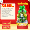 GIỎ QUÀ TẾT 2025 - PL