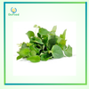 Rau diếp cá 50g TP gói