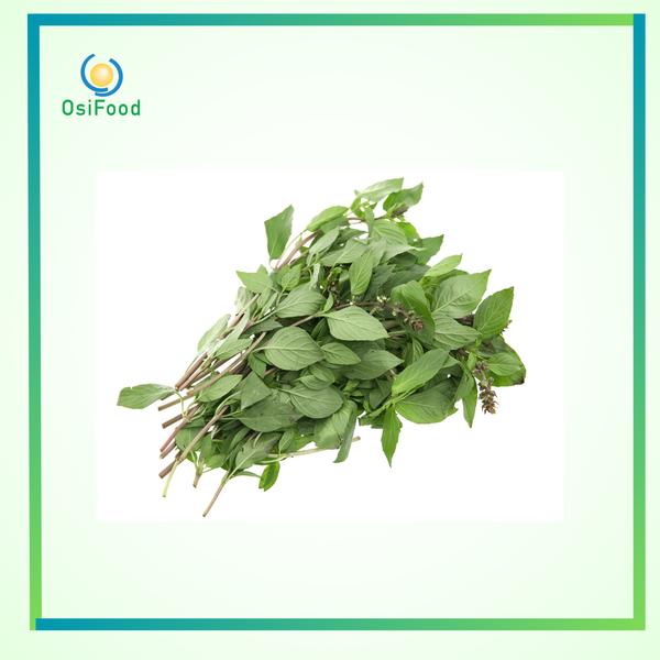 Rau húng quế V.gap XĐ 50g