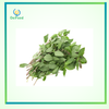 Rau húng quế V.gap XĐ 50g