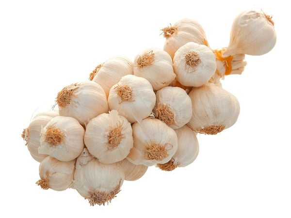 Tỏi Lý Sơn Côn Giang 200g