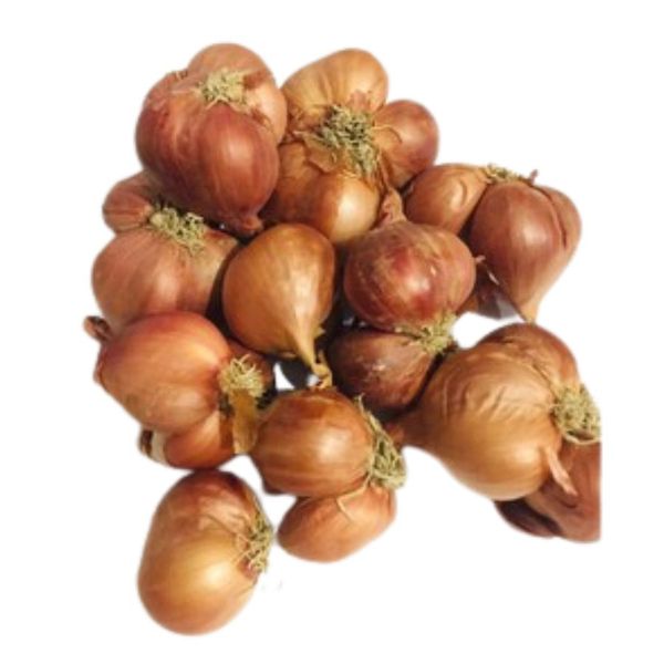 Hành bắc Hải Dương Côn Giang 200g
