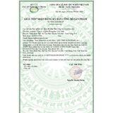  Viên uống bệnh trĩ Qee Tree  Kingphar 40v 