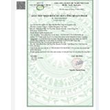  Tràng Bát Vị Kingphar 40 viên (Viêm đại tràng cấp, mãn tĩnh) 