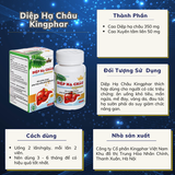  Bảo vệ gan Diệp Hạ Châu Kingphar hộp 40v 