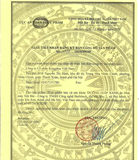  Dưỡng Giáp Xanh Kingphar 40 viên Hỗ trợ tăng cường tuyến giáp 