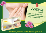 Tăng sức đề kháng, phòng ngừa cảm cúm Echina Kingphar 30v 