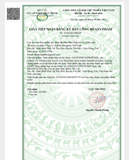  Gai Xương Kingphar hộp 40 viên - Hỗ trợ giảm đau, gai cột sống, thoát vị đĩa đệm 