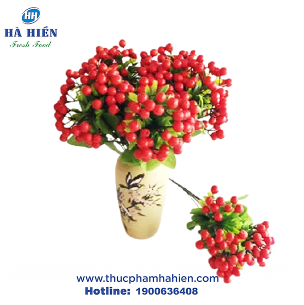  CÀNH CHERRY THÂN DẺO (NHỎ) 