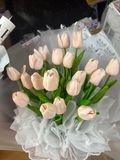  BÓ HOA TULIP 20 BÔNG 