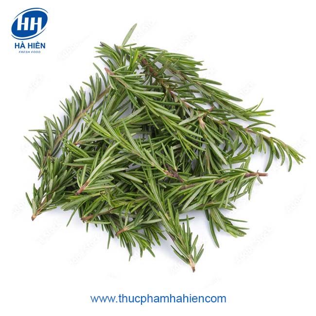  LÁ HƯƠNG THẢO (ROSEMARY) ĐÀ LẠT 25G 