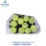  CÚC LƯỚI XANH CỐM ĐẬM (CHRYS ANATASIA DARK LIME ) 