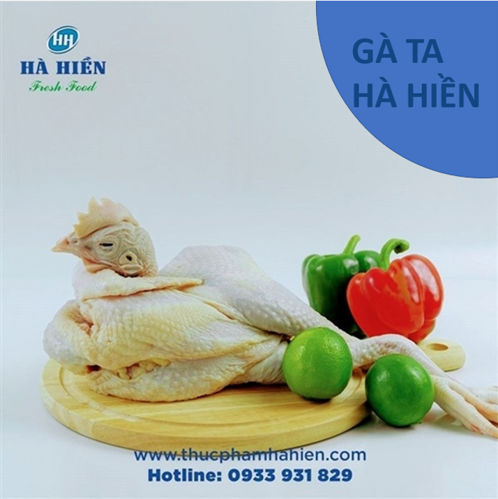  GÀ TA HÀ HIỀN 