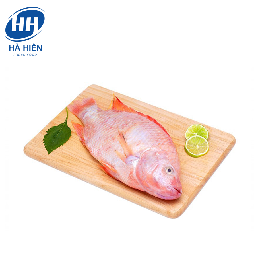  CÁ ĐIÊU HỒNG (300G - 500G) 