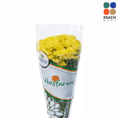  Cúc Chùm (Bó 5 Cành) 