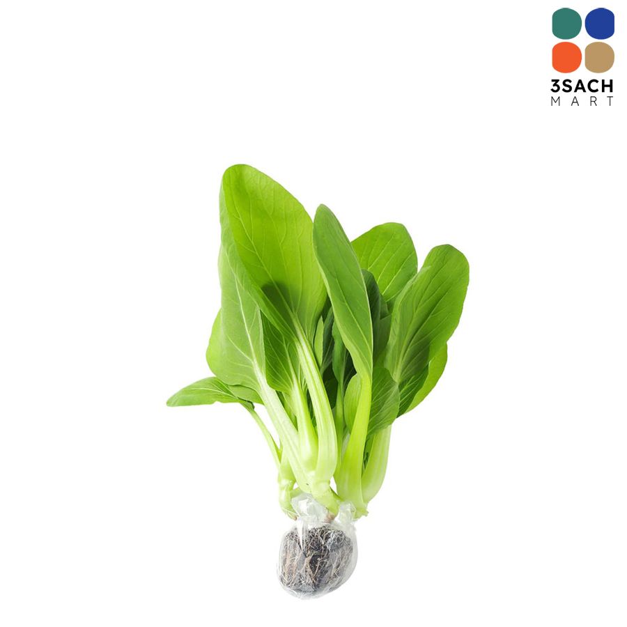  Cải Ngọt Thủy Canh (Gói 300g) 