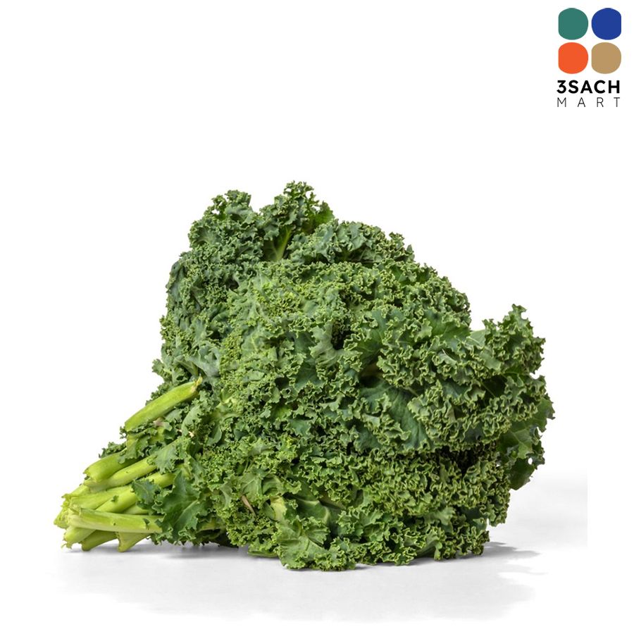  Cải Xoăn Kale (Gói 250g) 