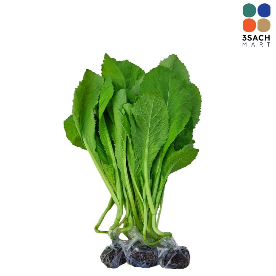 Cải Bẹ Xanh Thủy Canh (Gói 300g) 