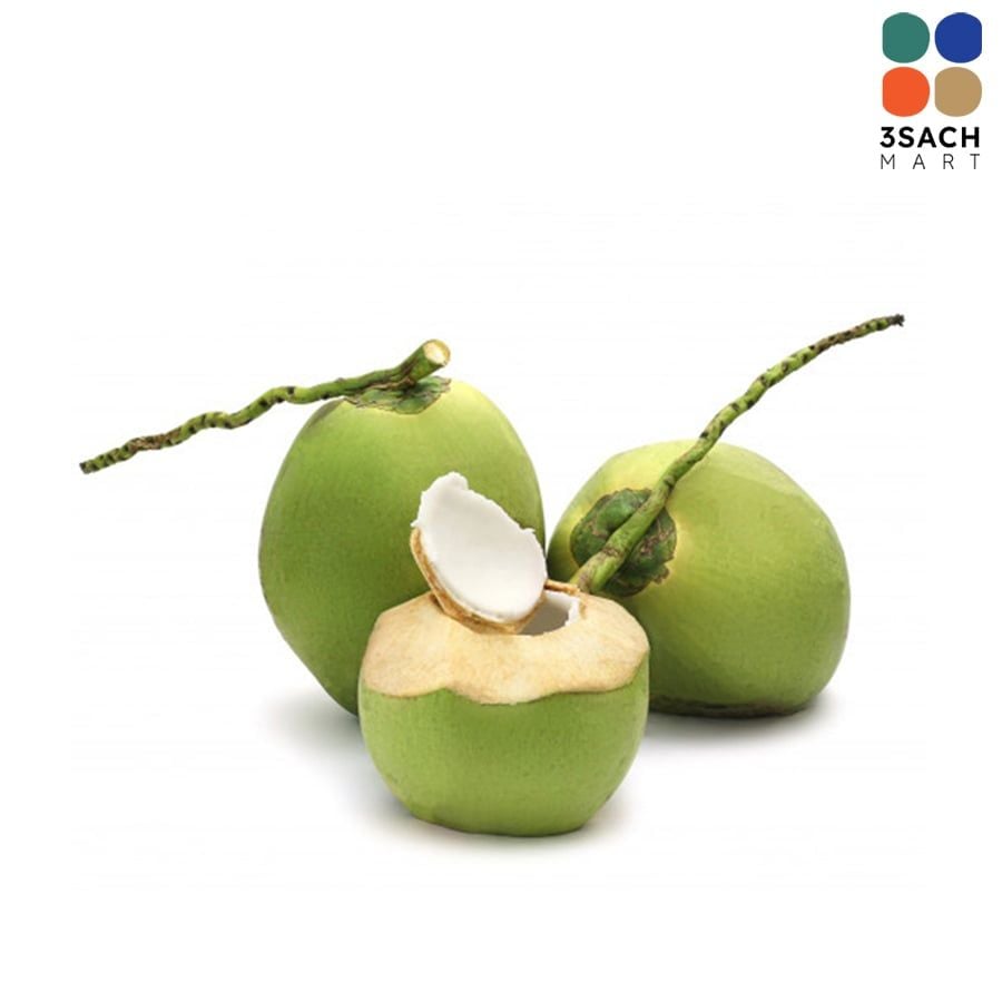  Dừa Cắt Hình Nón GTJ (Trái) 
