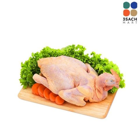  Gà Ta Gò Công (Kg) - 1,3kg 