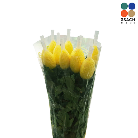  Hoa Cúc Lưới (Bó 10 Cành) 