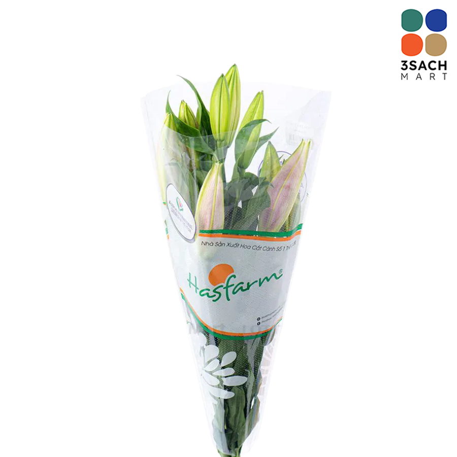  Hoa Lily (Bó 3 Cành) 