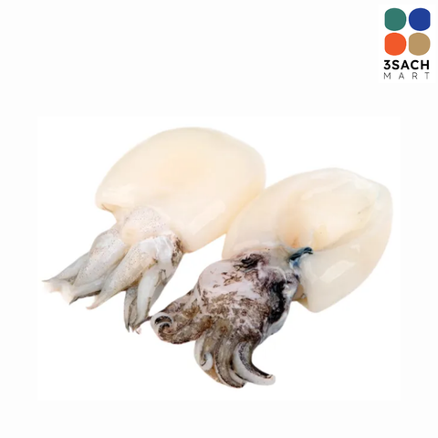  Mực Nang Sz 20 - 25 (500gr) 