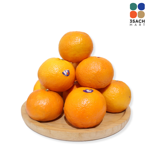  Mâm Hoa Quả 03 (Set) 