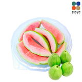  [RTE] Ổi Cắt Sẵn (Hộp 230g) 