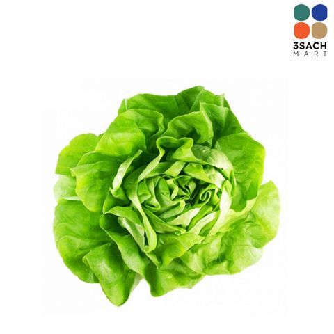  Xà Lách Búp Mỡ (Gói 300g) 