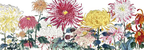  Giấy dán tường Alan Chain Flower - 504-004 