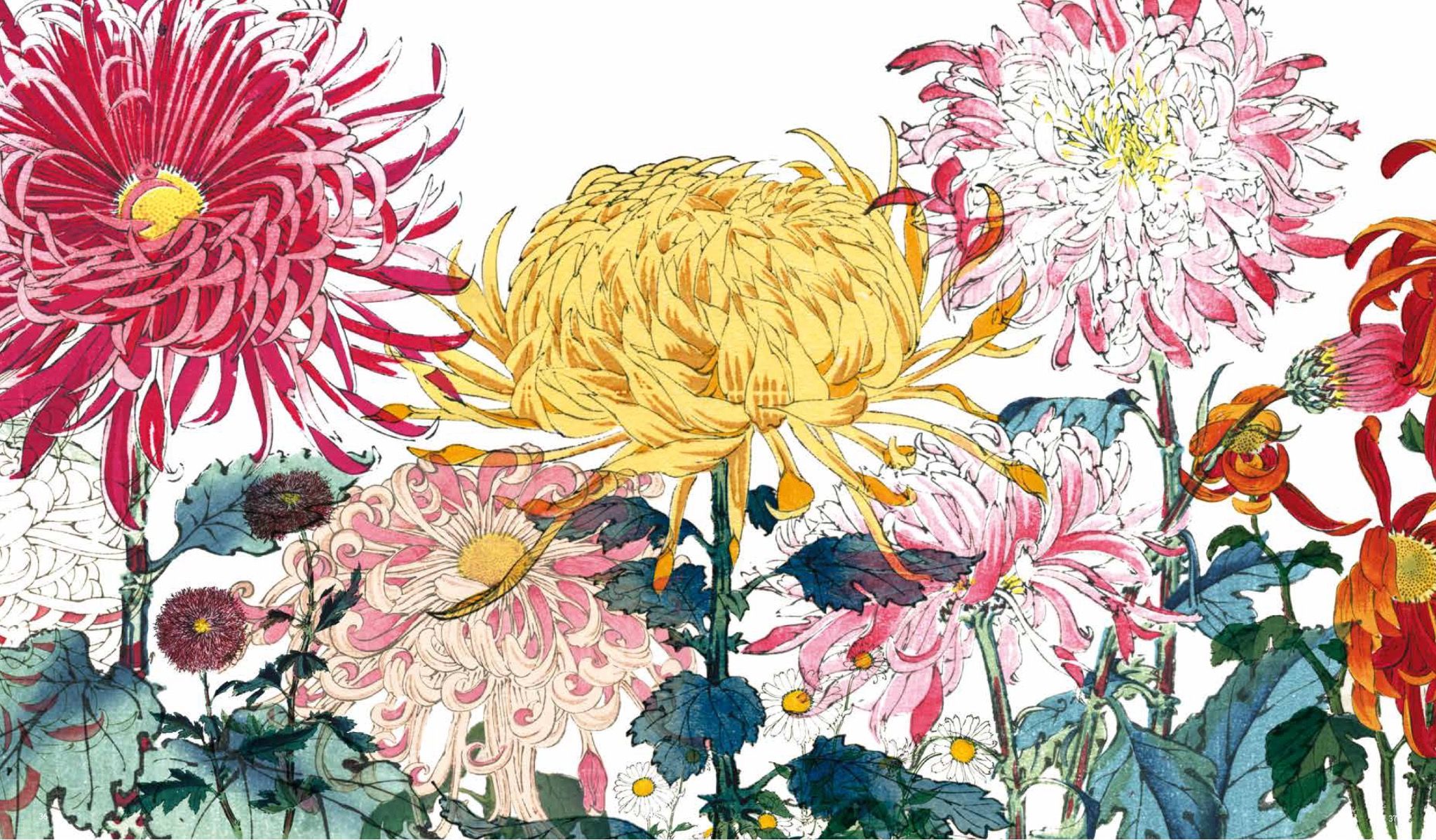  Giấy dán tường Alan Chain Flower - 504-004 