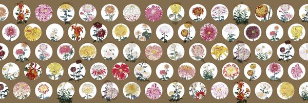  Giấy dán tường Alan Chain Flower - 505-003 