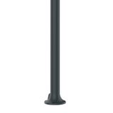  Sen cây ngoài trời hẹn giờ chỉ có nước lạnh - LTG 