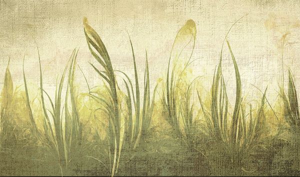  Giấy dán tường Cat 24 - 555-003 