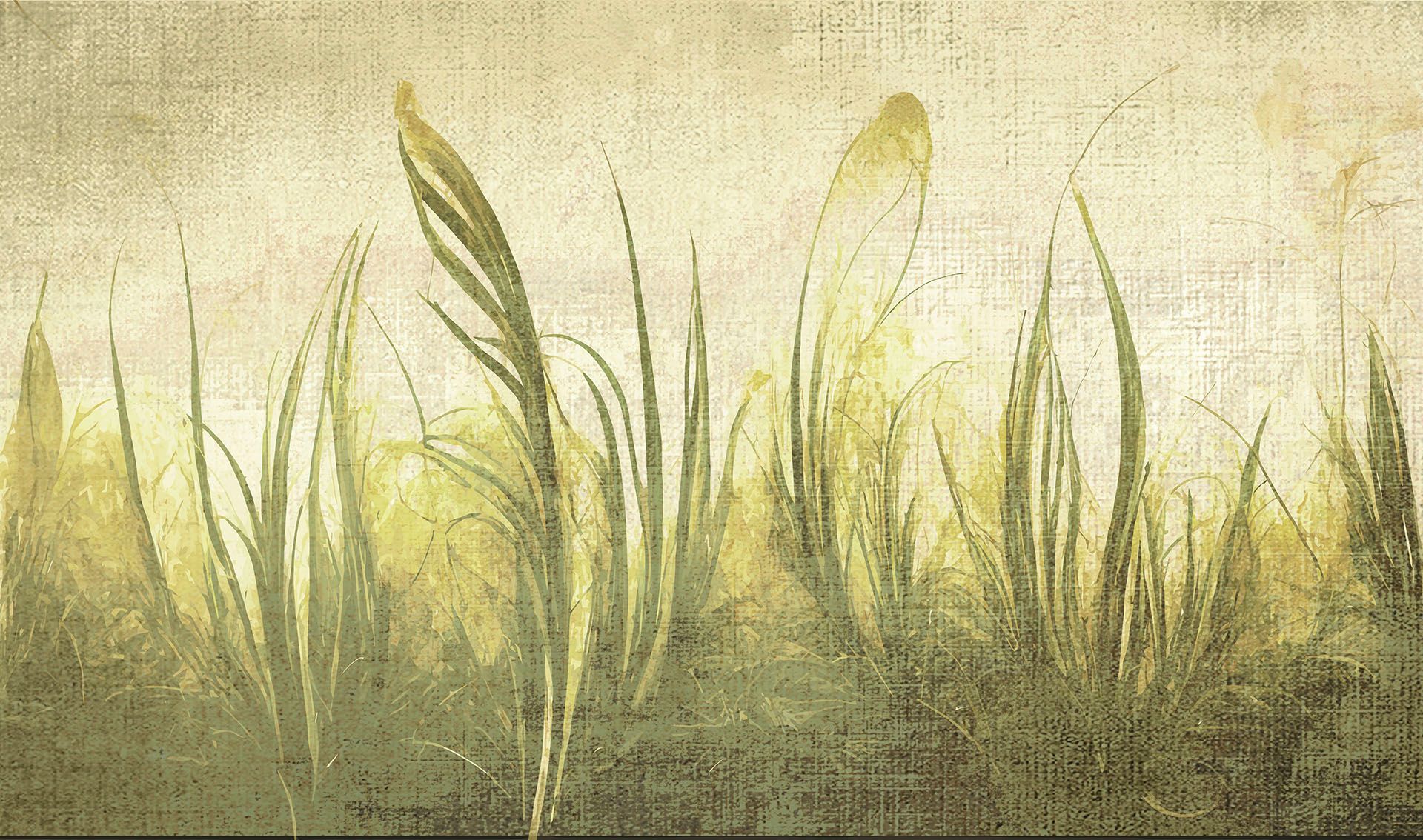  Giấy dán tường Cat 24 - 555-003 