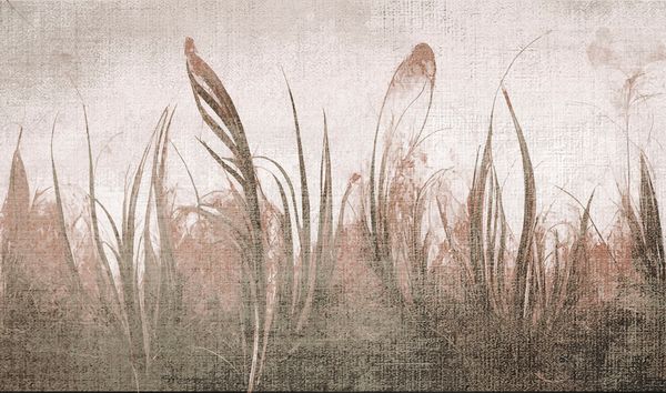  Giấy dán tường Cat 24 - 555-004 