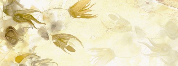  Giấy dán tường Cat 24 - 556-002 