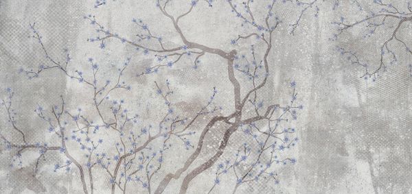  Giấy dán tường Cat 24 - 561-004 