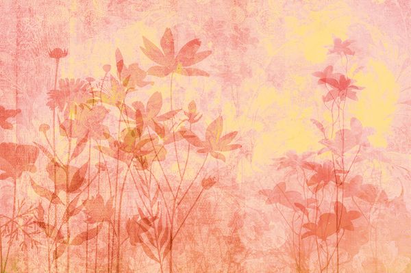  Giấy dán tường Cat 24 - 563-005 