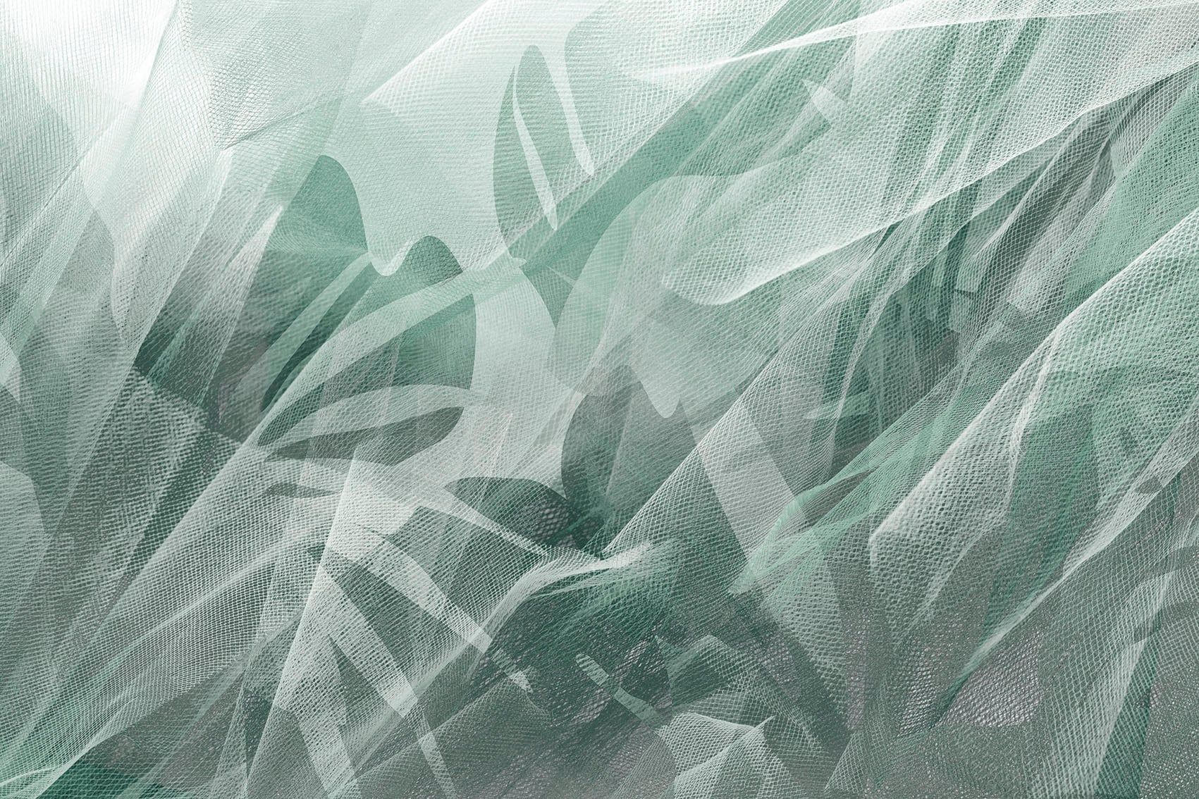  Giấy dán tường Cat 24 - 569-001 