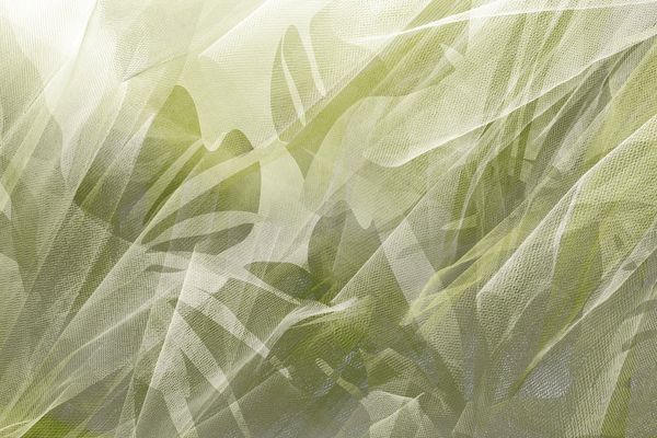  Giấy dán tường Cat 24 - 569-003 