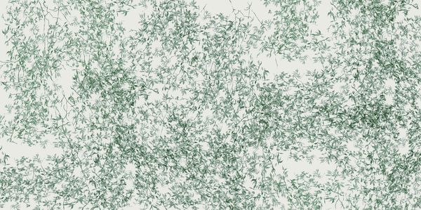  Giấy dán tường Cat 24 - 571-002 