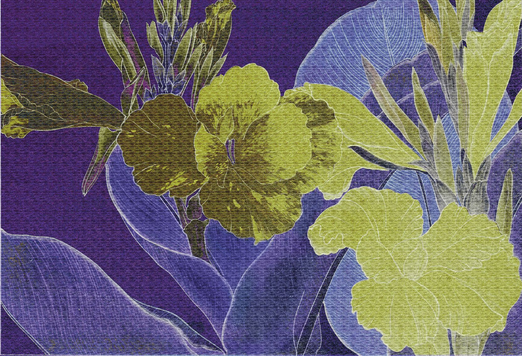  Giấy dán tường Cat 24 - 597-003 