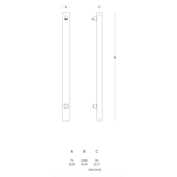  Sen cây gắn tường ngoài trời bằng AISI 316L stainless steel (chống thời tiết đại dương) - AQA82 