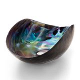  Chậu lavabo vỏ sò đại dương Murano 8754 Cortina 