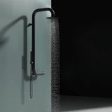  Sen cây ngoài trời gắn tường bát sen ∅200mm có vòi sen cầm tay bằng stainless steel 316L - A1015C-MB 