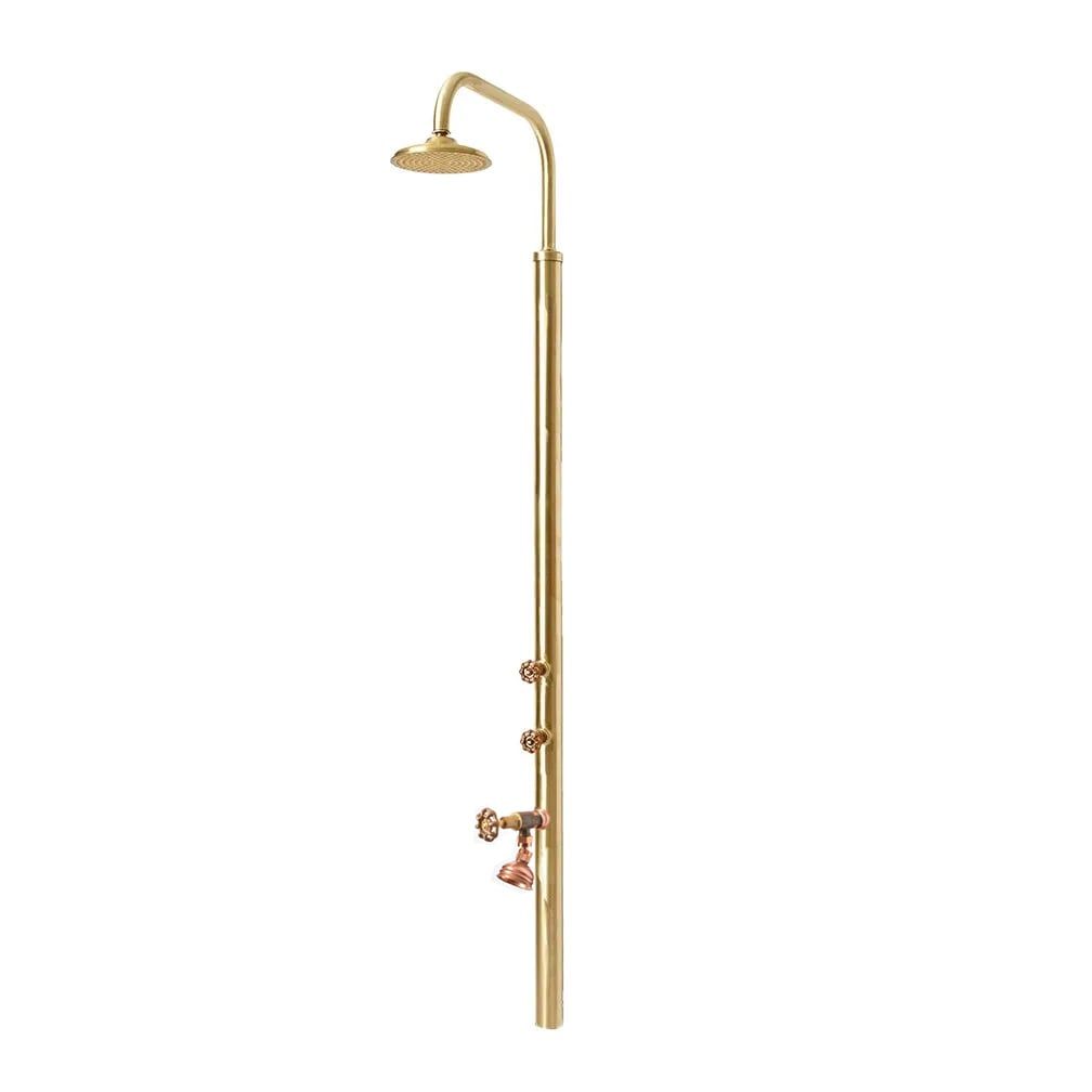  Sen cây ngoài trời bằng đồng thau (brass) - Brolen Brass 