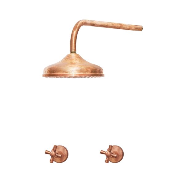  Sen vòi ngoài trời gắn tường bằng đồng (copper) - Broval 